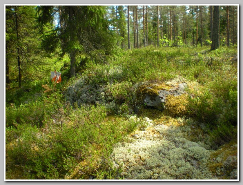 puskala 3.7.2009 082